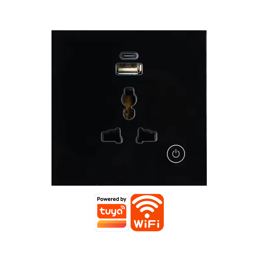 Tuya Wi-Fi single smart socket with USB and Type-C